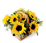 Sunflower Basket from Backstage Florist in Richardson, Texas